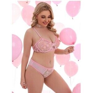1X Plus Size Pink Sheer Mesh- Cheeky Underwire Stretch Lingerie Set